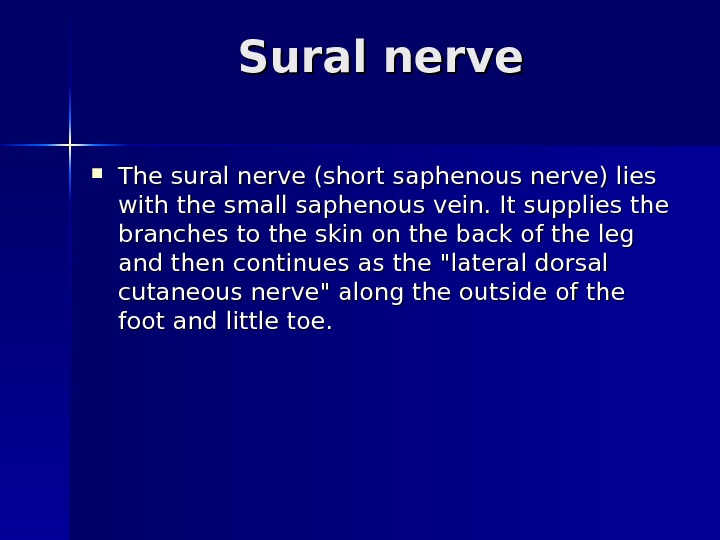   Sural nerve The sural nerve (short saphenous nerve) lies with the small saphenous vein.