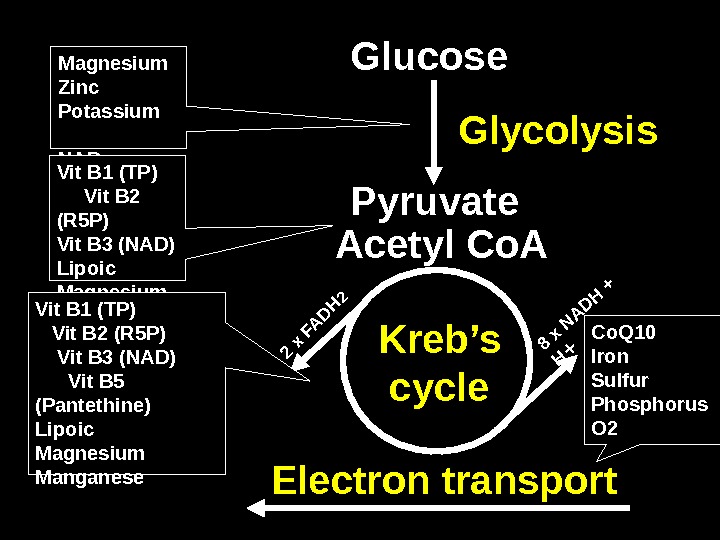 Magnesium Zinc Potassium      NAD Glycolysis Kreb’s cycle Electron transport Glucose Pyruvate
