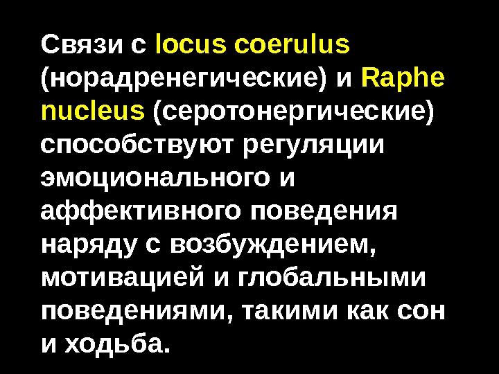Связи с  locus coerulus ( норадренегические ) и  Raphe nucleus ( серотонергические ) способствуют