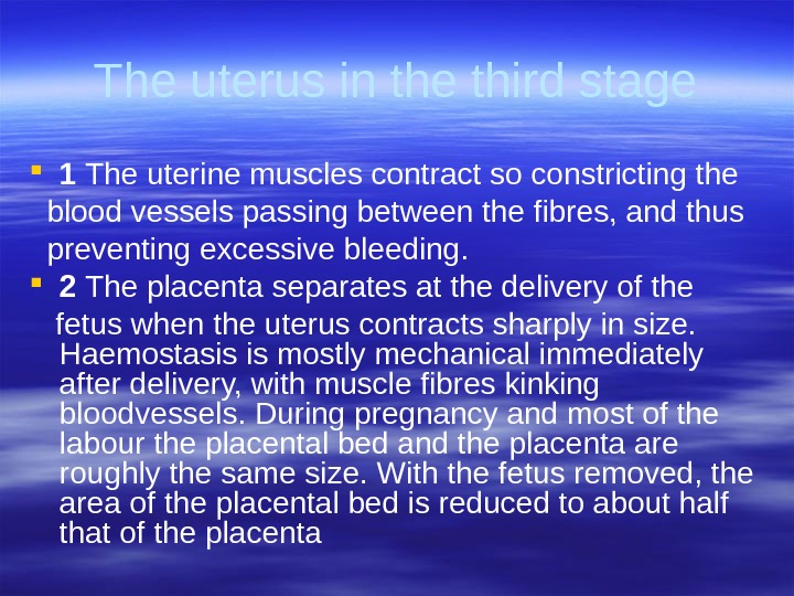 The uterus in the third stage 1 The uterine muscles contract so constricting the  blood