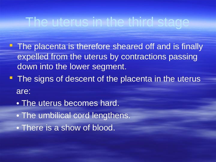 The uterus in the third stage The placenta is therefore  sheared off and is finally