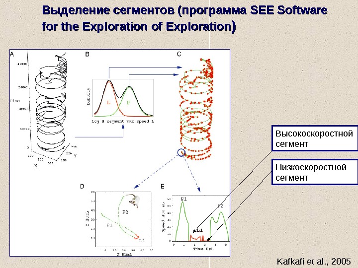   Kafkafi et al. , 2005 Выделение сегментов (программа SEESEE  Software for the 