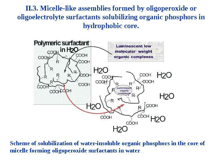 II. 3. Micelle-like assemblies formed by oligoperoxide or oligoelectrolyte surfactants solubilizing organic phosphors in hydrophobic core.