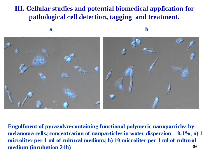 66 Engulfment of pyrazolyn-containing functional polymeric nanoparticles by melanoma cells ;  concentration of nanparticles in