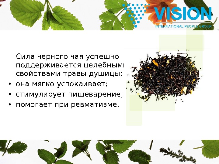  Сила черного чая успешно поддерживается целебными свойствами травы душицы:  • она мягко успокаивает; 