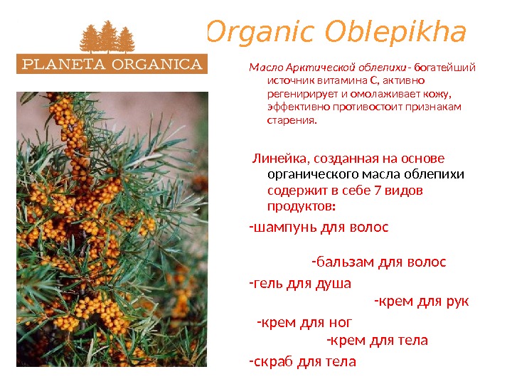 Organic Oblepikha Масло Арктической облепихи - богатейший источник витамина С, активно регенирирует и омолаживает кожу, 