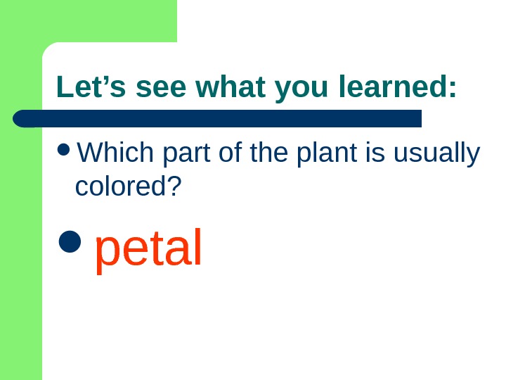  Let’s see what you learned:  Which part of the plant is usually colored? 
