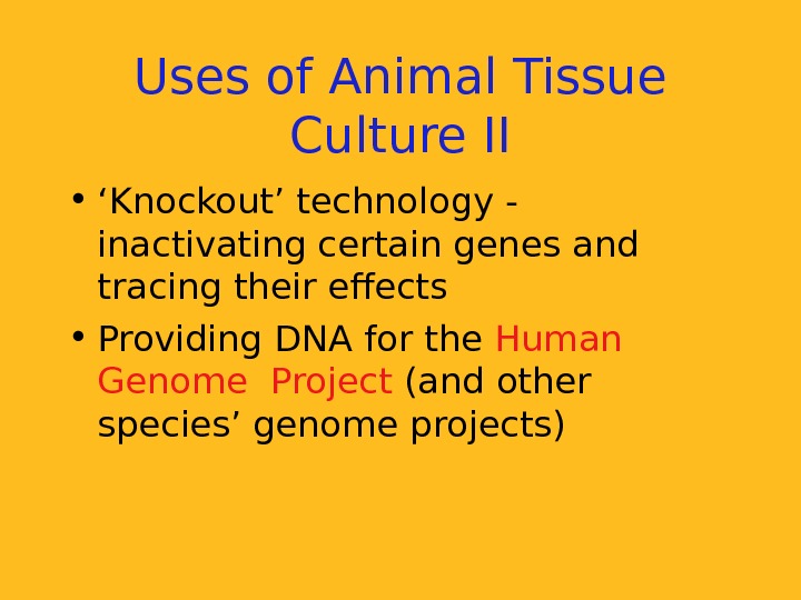   Uses of Animal Tissue Culture II • ‘ Knockout’ technology - inactivating certain genes