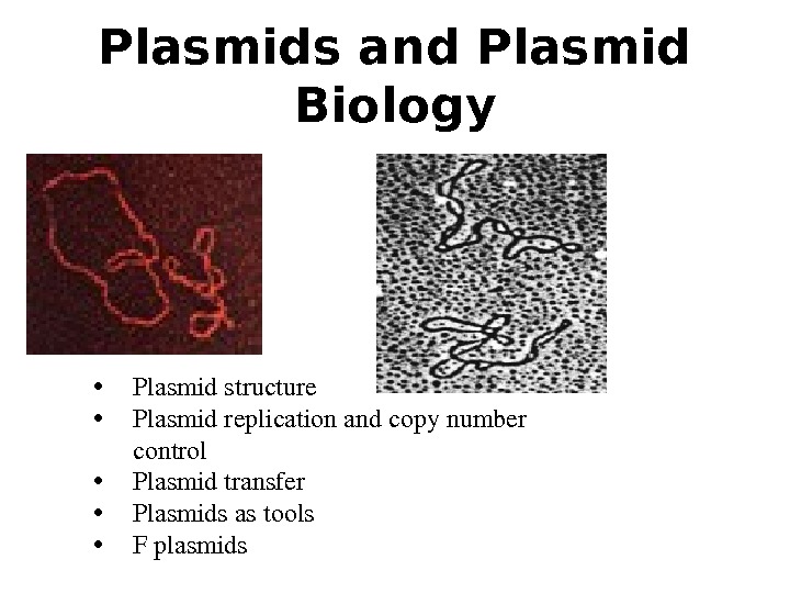  • Plasmidstructure • Plasmidreplicationandcopynumber control • Plasmidtransfer • Plasmidsastools • Fplasmids. Plasmids and Plasmid Biology