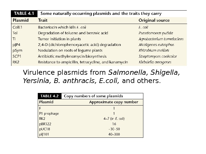 Virulence plasmids from Salmonella, Shigella,  Yersinia, B. anthracis, E. coli,  and others. 