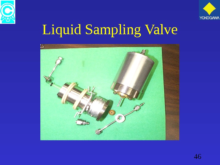 46 Liquid Sampling Valve 