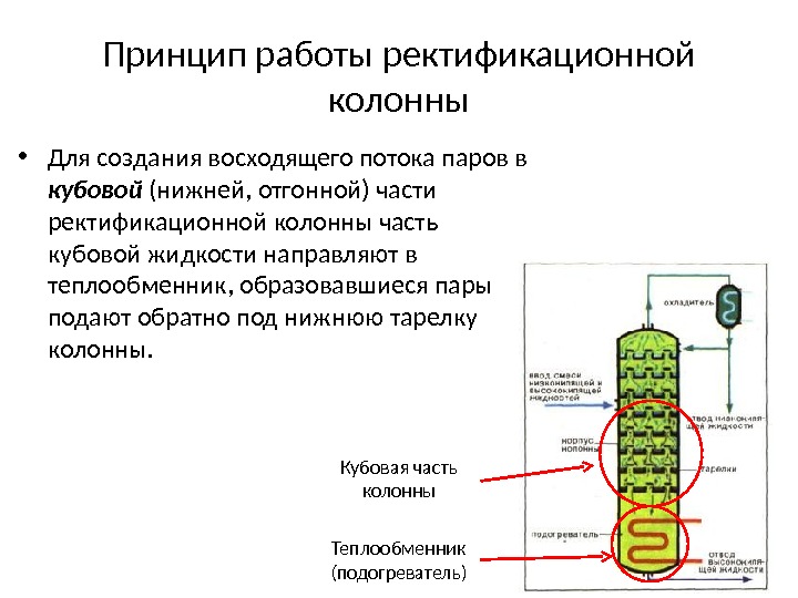 Принцип работы ректификационной колонны • Для создания восходящего потока паров в кубовой (нижней, отгонной) части ректификационной