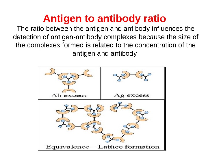 Antigen to antibody ratio  The ratio between the antigen and antibody influences the detection of