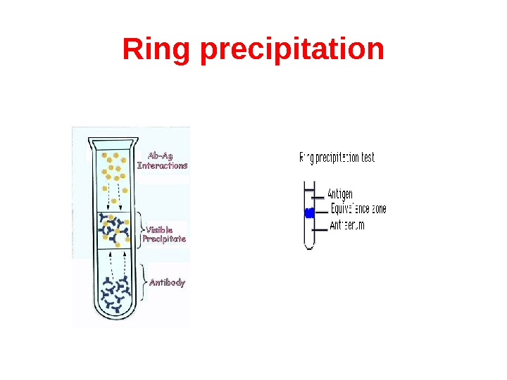 Ring precipitation 