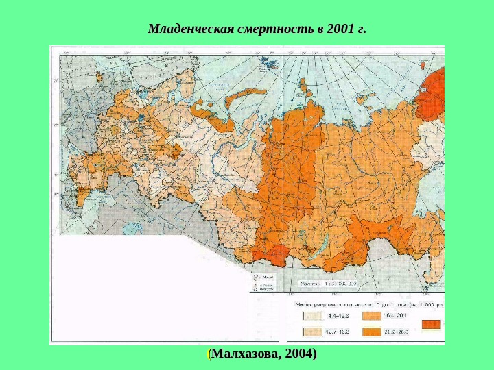 Младенческая смертность в 2001 г. (( Малхазова, 2004) 