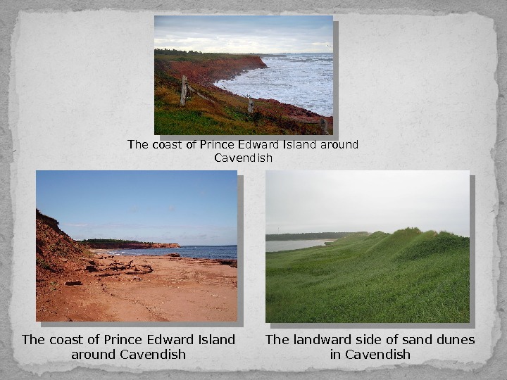 The coast of Prince Edward Island around Cavendish The landward side of sand dunes in. Cavendish.