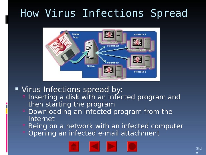 How Virus Infections Spread Virus Infections spread by:  Inserting a disk with an infected program