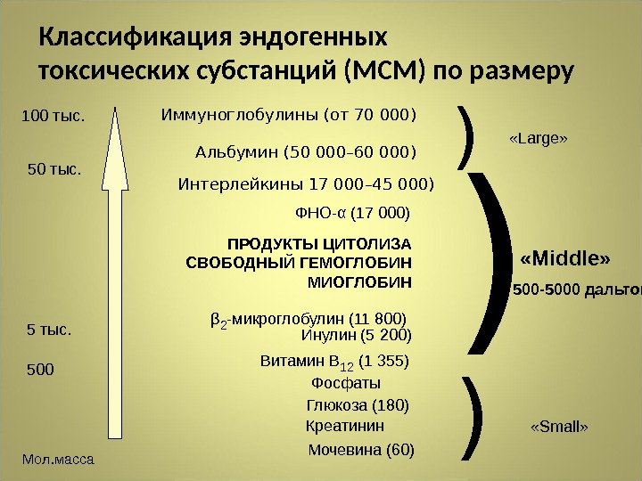 Классификация эндогенных токсических субстанций (МСМ) по размеру 100 тыс. 500 Альбумин (50 000– 60 000)Иммуноглобулины (от