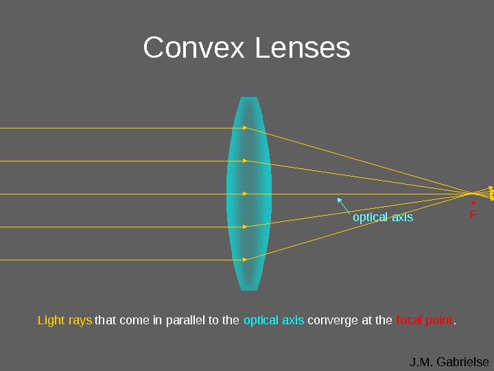 J. M. Gabrielse. Convex Lenses optical axis Light rays that come in parallel to the optical