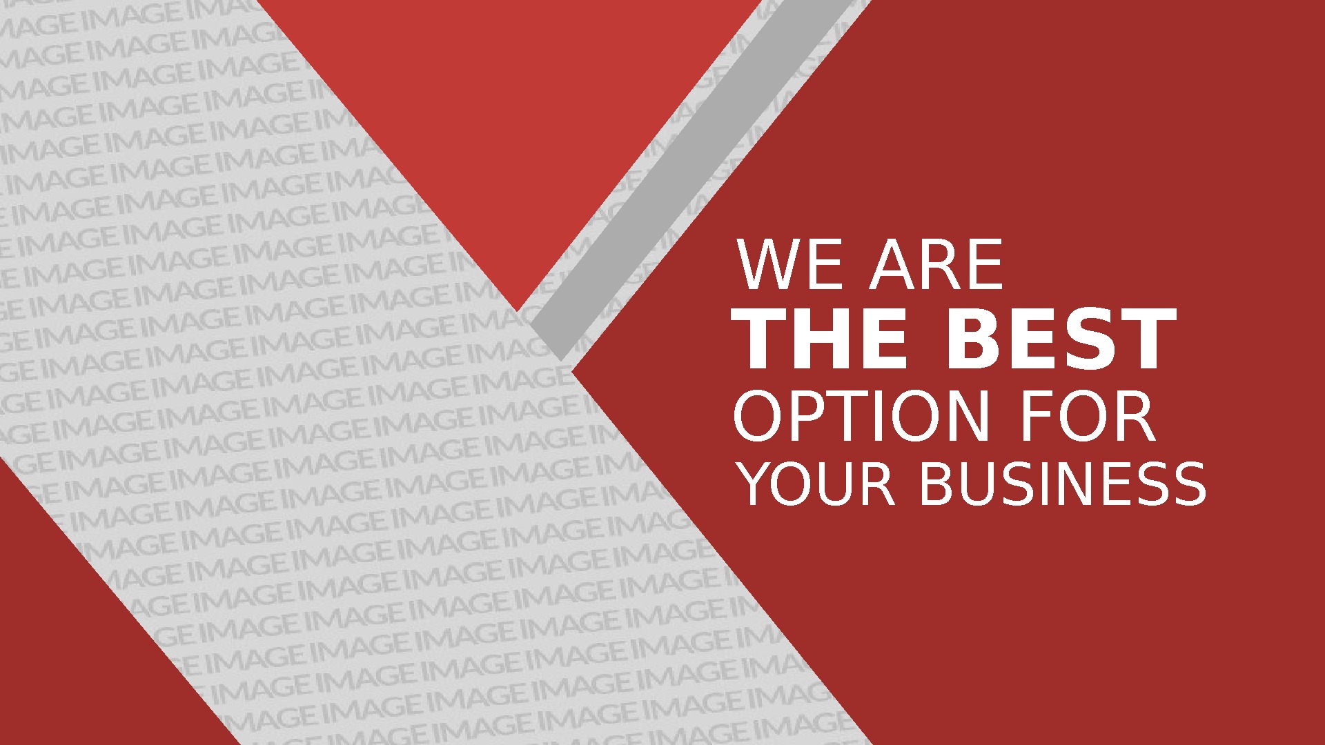 WE ARE THE BEST OPTION FOR YOUR BUSINESS 