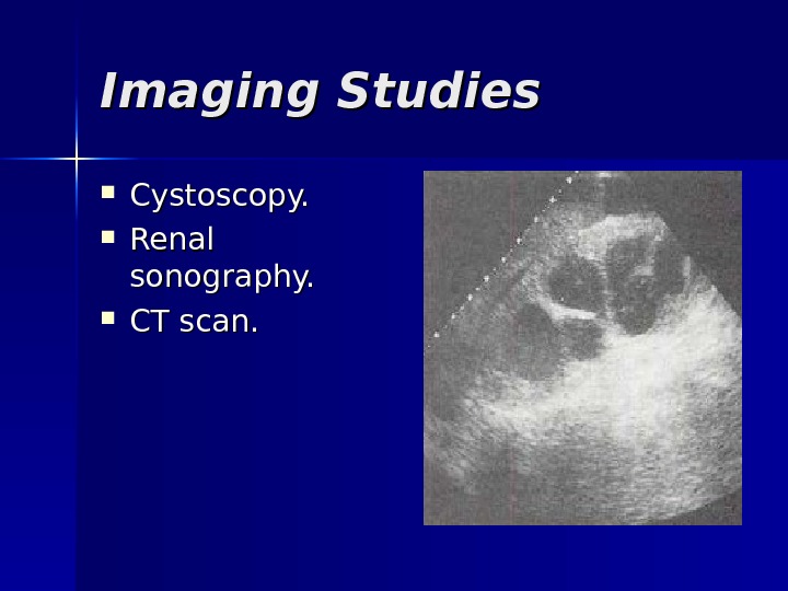 Imaging Studies Cystoscopy.  Renal sonography.  CT scan. 