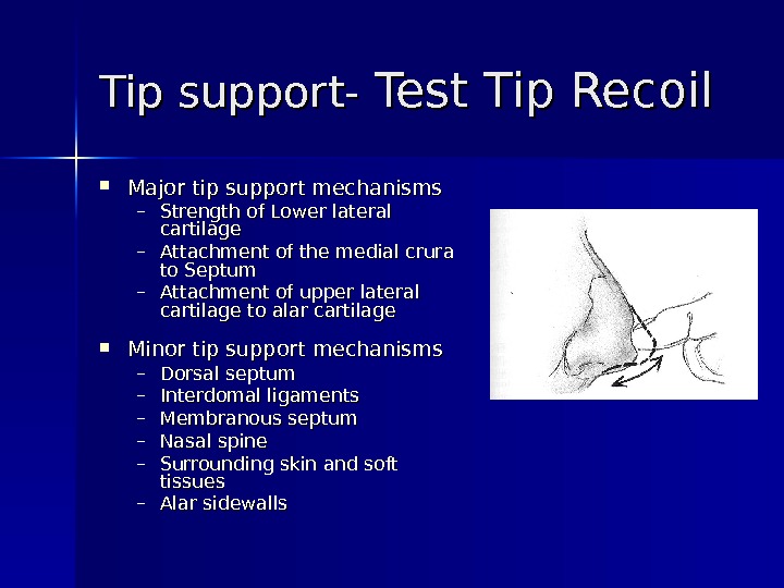 Tip support- Test Tip Recoil Major tip support mechanisms – Strength of Lower lateral cartilage –