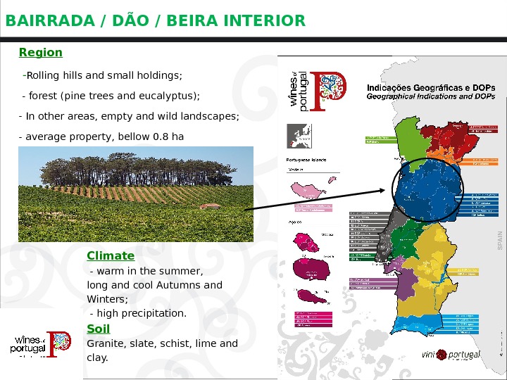 BAIRRADA / DÃO / BEIRA INTERIOR Region  - Rolling hills and small holdings;  -