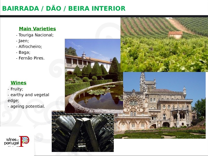 BAIRRADA / DÃO / BEIRA INTERIOR  Main Varieties - Touriga Nacional; - Jaen; - Alfrocheiro;