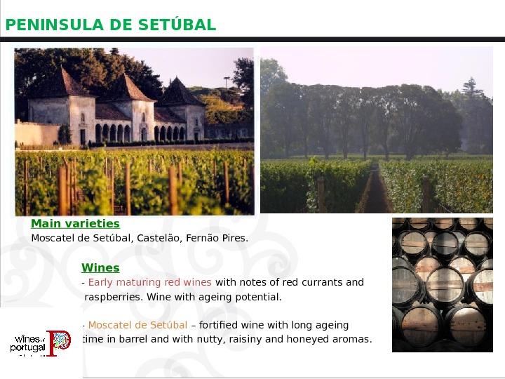 PENINSULA DE SETÚBAL  Main varieties Moscatel de Setúbal, Castelão, Fernão Pires. Wines - Early maturing