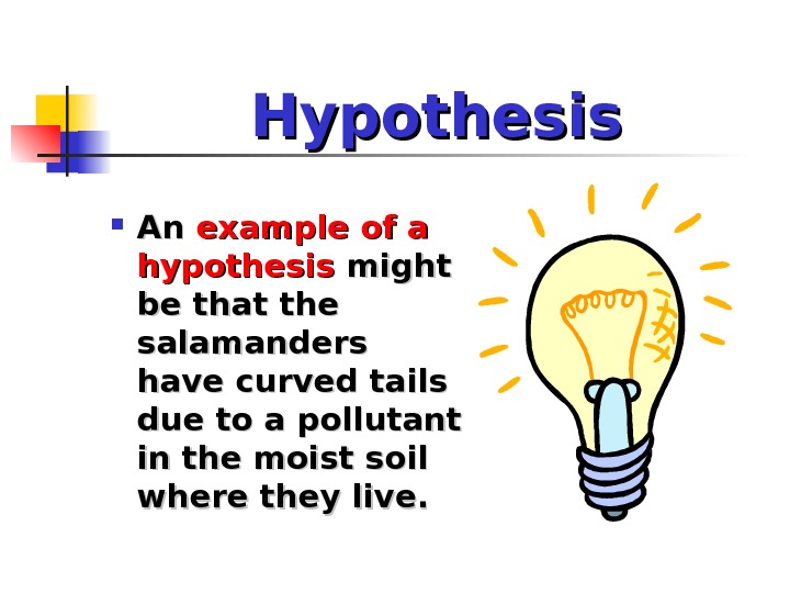 Hypothesis An An example of a hypothesis might be that the salamanders have curved tails due