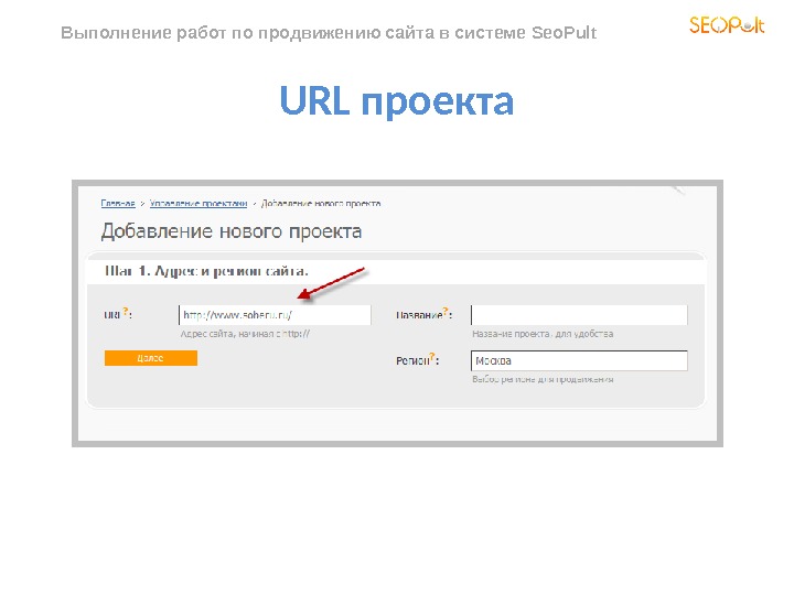 Выполнение работ по продвижению сайта в системе Seo. Pult  URL проекта 