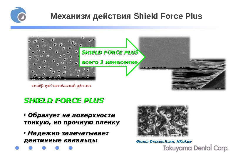 Механизм действия Shield Force Plus  SHIELD FORCE PLUS • Образует на поверхности тонкую, но прочную