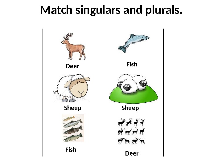 Prezentaciya Singular And Plural Nouns