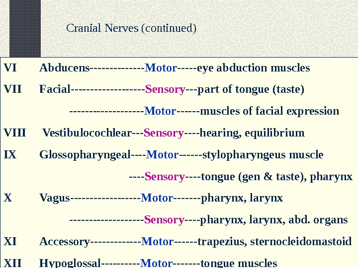 VI Abducens------- Motor -----eye abduction muscles VII Facial---------- Sensory ---part of tongue (taste)  ---------- Motor