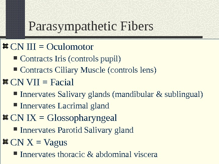 Parasympathetic Fibers CN III = Oculomotor Contracts Iris (controls pupil) Contracts Ciliary Muscle (controls lens) CN