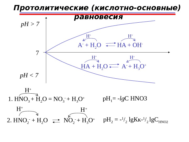 Протолитические (кислотно-основные)  равновесия 7 p. H    7 p. H   