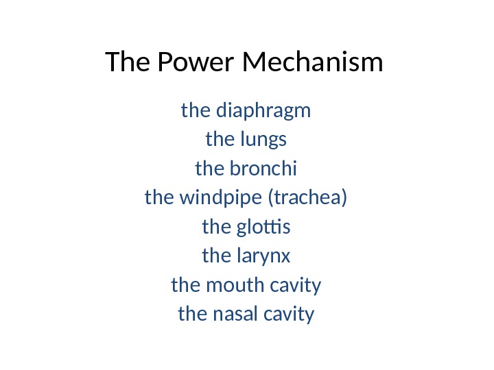 The Power Mechanism the diaphragm the lungs the bronchi the windpipe (trachea) the glottis the larynx