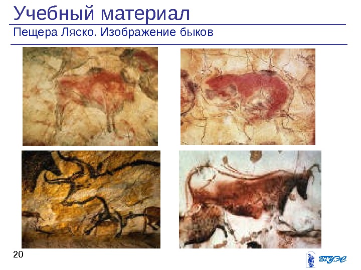 Учебный материал Пещера Ляско. Изображение быков 20 