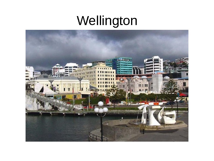   Wellington 