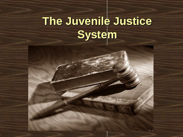 The Juvenile Justice System 