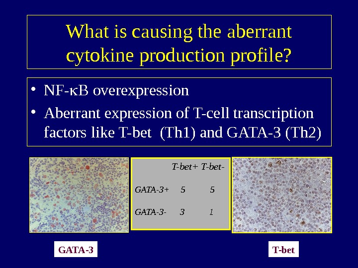   What is causing the aberrant cytokine production profile?  • NF- B overexpression •