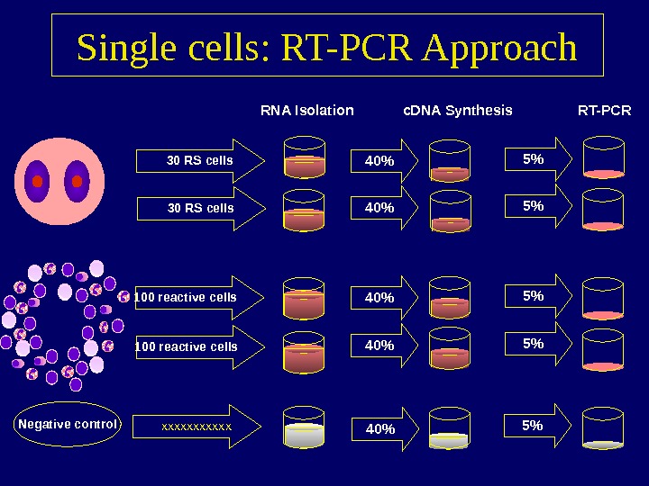   Single cells: RT-PCR Approach 30 RS cells  100 reactive cells RNA Isolation 40