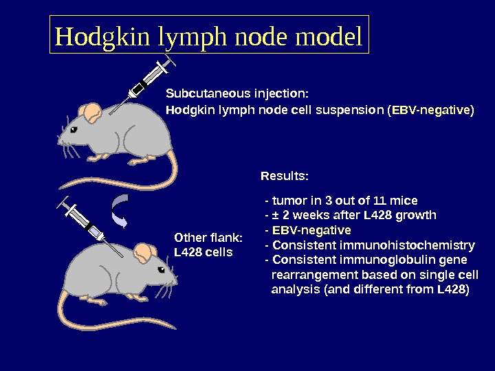   Hodgkin lymph node model Subcutaneous injection:  Hodgkin lymph node cell suspension ( EBV-negative