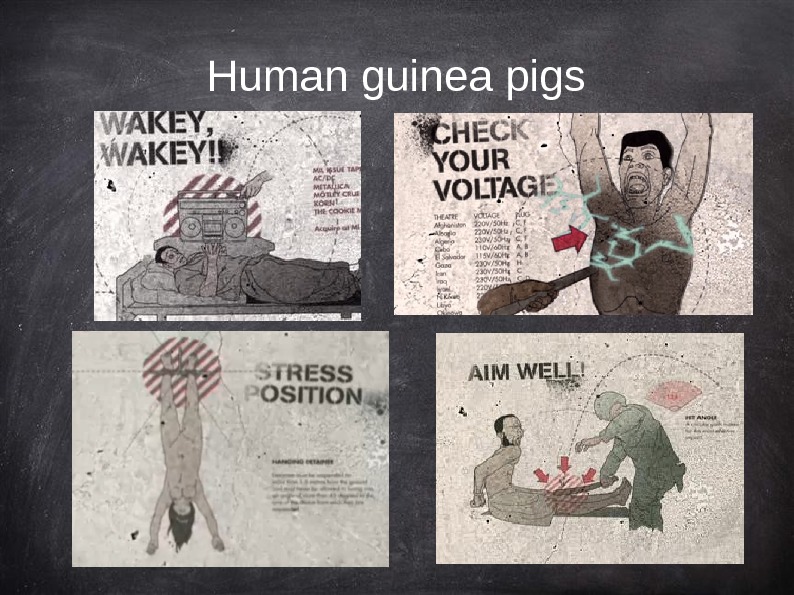   Human guinea pigs 