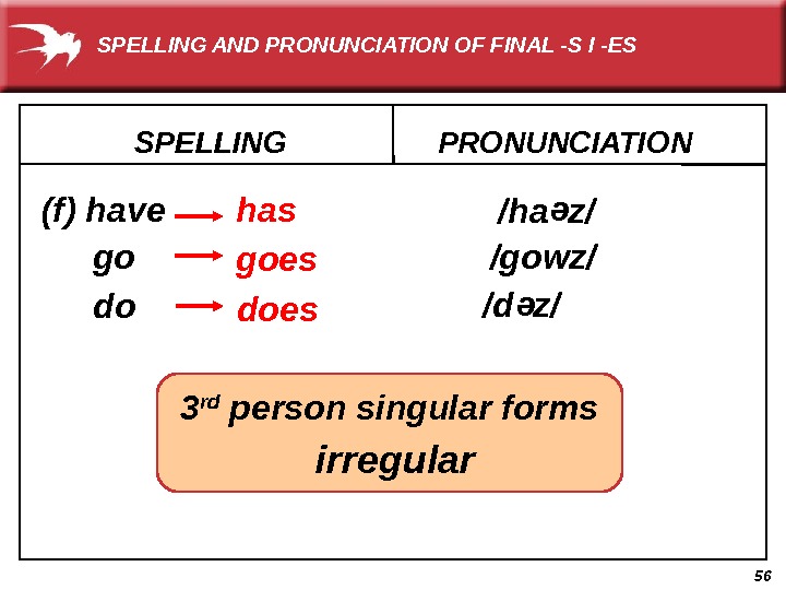 56 SPELLING (f) have PRONUNCIATION  has go goes  /ha z/ do  does 