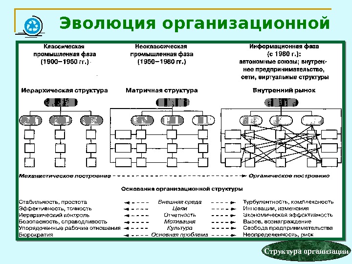 Эволюция организационной структуры  Структура организации 