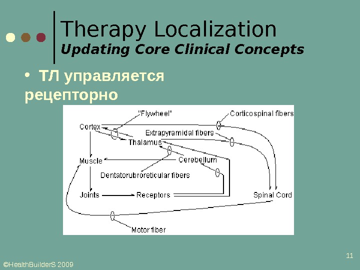 ©Health. Builder. S 2009 11 • ТЛ управляется рецепторно Therapy Localization Updating Core Clinical Concepts 