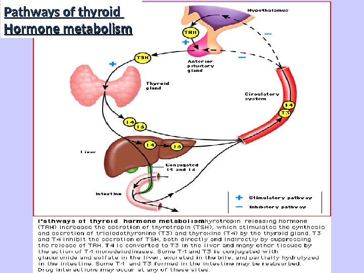 Pathways of thyroid Hormone metabolism 