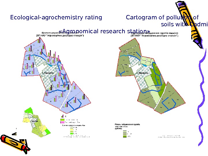 Ecological-agrochemistry rating   Cartogram of pollution of    soils with Cadmium «Agronomical research