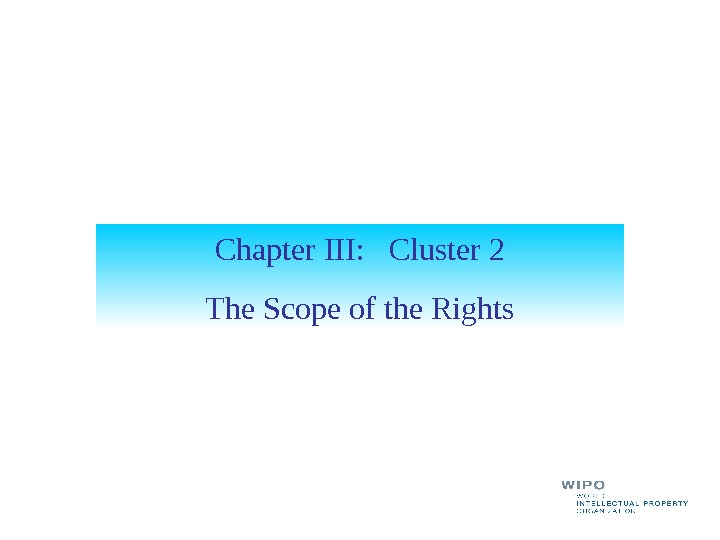 Chapter III:  Cluster 2 The Scope of the Rights 